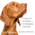 best dog quotes to err is human to forgive canine loves dogs