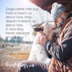 best dog quotes happy quotes about dogs loves dogs